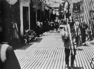 Carriage-Trade