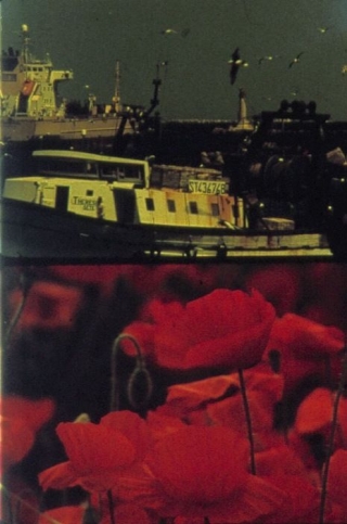 lowder-les-coquelicots-3-edit