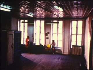michael-snow_wavelength